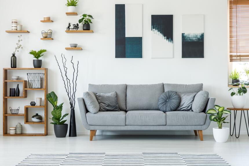 Bright living room with a grey sofa, plants and wall art