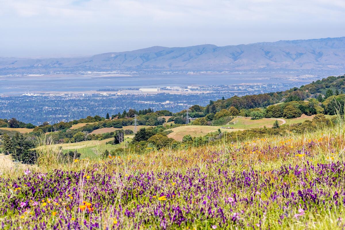 Landmark view of MOUNTAIN VIEW