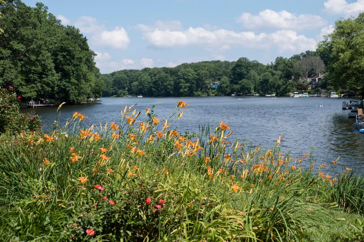 Landmark view of RESTON